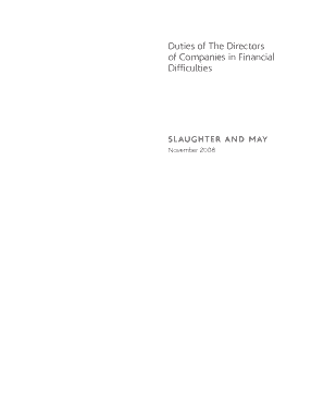 Duties of The Directors