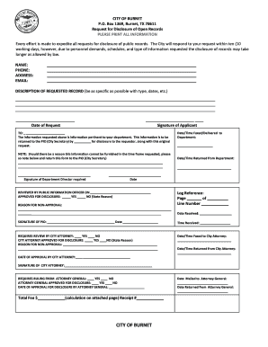 Form preview picture