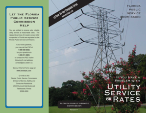 Florida Public Service Commission Complaint Form