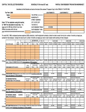 Schedule P - 2009 TY version for SMSD 531 form packet (2008-11-12)