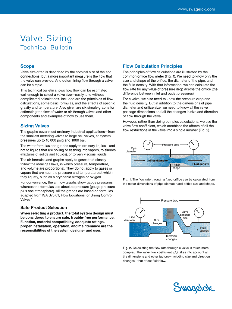 Valve Sizing Preview on Page 1