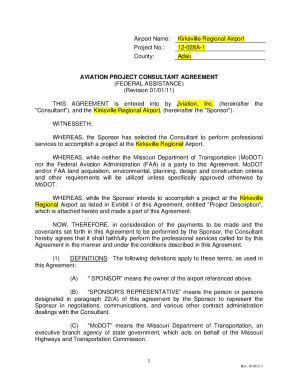 Airport Name Project Consultant Agreement