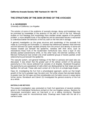 THE STRUCTURE OF THE SKIN OR RIND OF THE AVOCADO