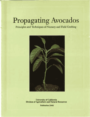 Propagating Avocados: Principles and Techniques of Nursery