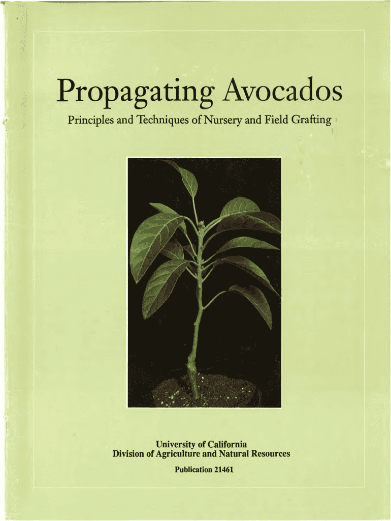 Propagating Avocados: Principles and Techniques of Nursery Preview on Page 1