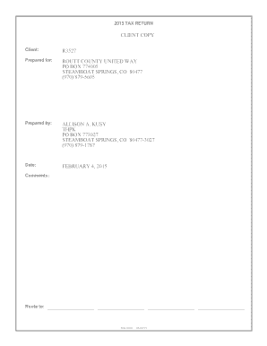 2013 IRS Form 990