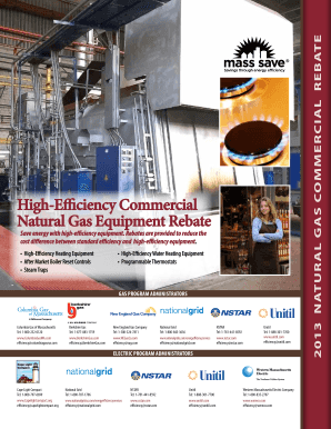 2013 High-Efficiency Commercial Gas Equipment Rebate Form