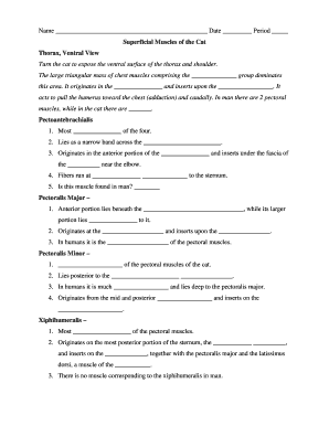 Cat Anatomy Muscle Identification Form