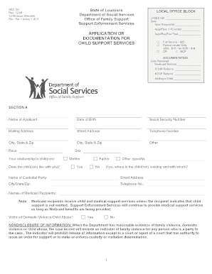 Louisiana Child Support Services Application