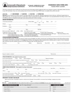 Massachusetts Insurance Data Form