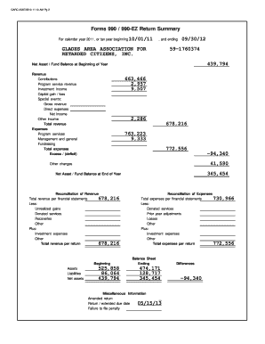 Form 990 2011 Tax Return