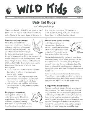 Bats Eat Bugs Educational Guide