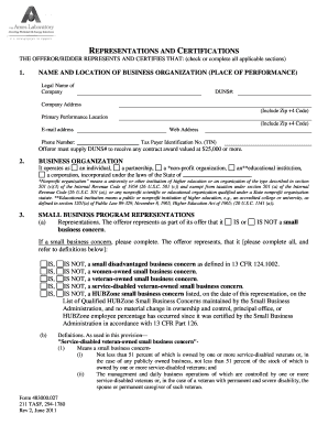 US Federal Small Business Representation and Certification Form