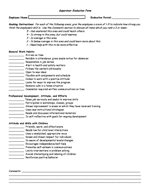 Supervisor Evaluation Form