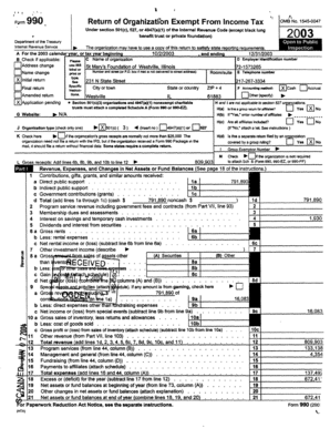 Form 990 2003
