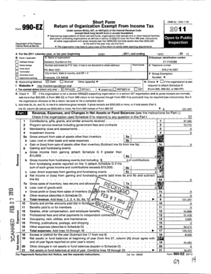 Form 990-EZ 2011