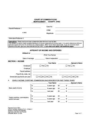 Affidavit of Income and Expenses