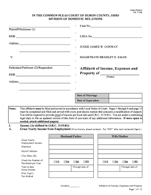 Affidavit of Income, Expenses and Property
