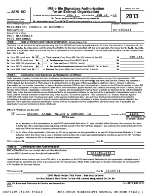 IRS Form 8879-EO Signature Authorization