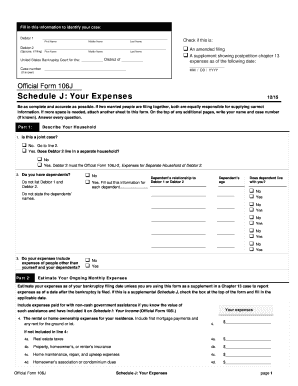 Official Form 106J Schedule J: Your Expenses
