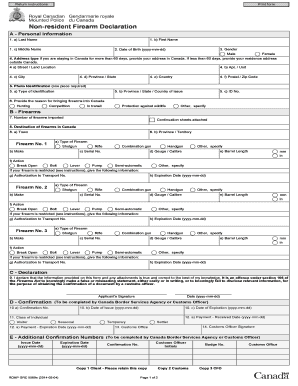 Non-Resident Firearm Declaration