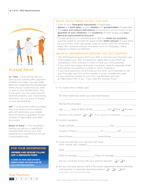Will Questionnaire