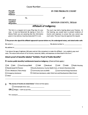 Texas Affidavit of Indigency