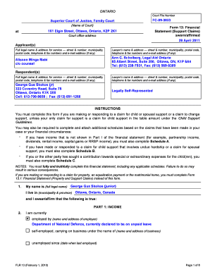 Ontario Financial Statement Support Claims Form 13