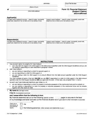 Ontario Court Form 13 Financial Statement