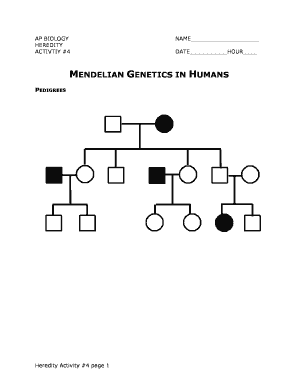 AP Biology Heredity Activity 4