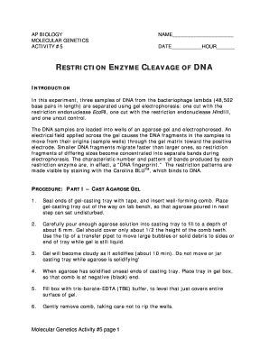 AP Biology Molecular Genetics Activity