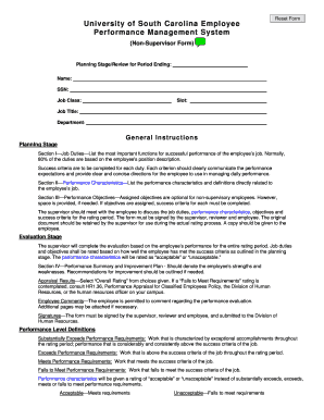 University of South Carolina Employee Performance Review Form