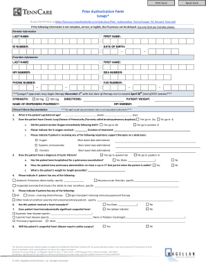 Synagis Prior Authorization Form