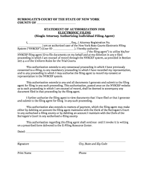 New York Electronic Filing Authorization