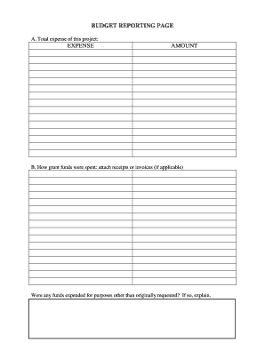 Budget Reporting Form