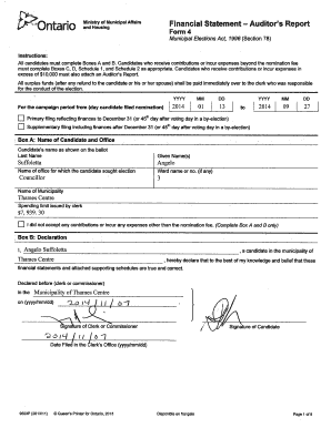 Ontario Municipal Election Financial Statement
