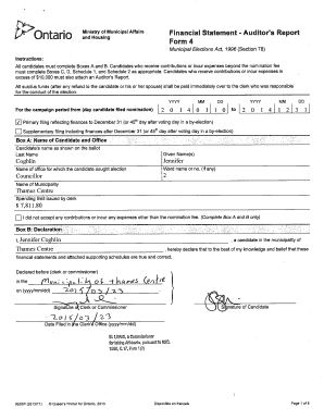 Ontario Financial Statement - Auditor's Report