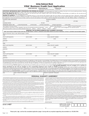 VISA Business Credit Card Application
