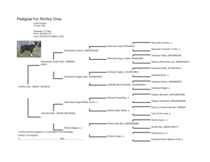 Pedigree Certificate for Rimfire Chaz