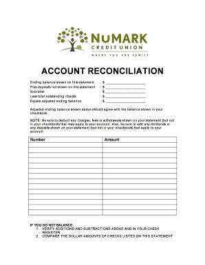 Account Reconciliation Form