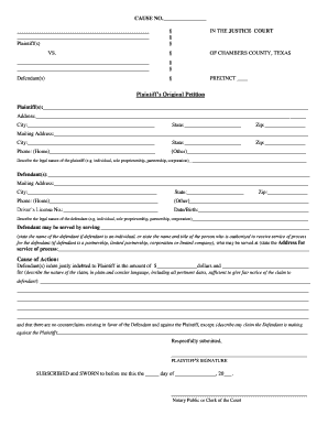 Plaintiff's Original Petition