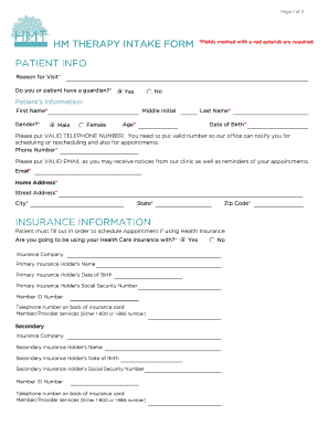 HM Therapy Intake Form