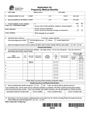 Pregnancy Medical Benefits Application