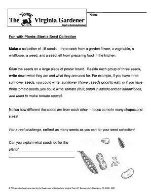 Fun with Plants Seed Collection Activity