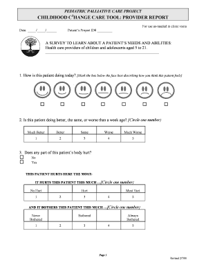 Childhood C3Hange Care Tool Provider Report