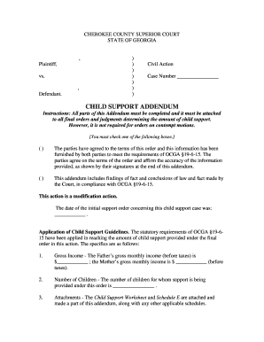 Georgia Child Support Addendum