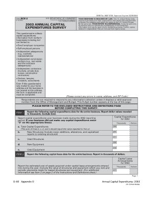 US Census Bureau Form ACE-2