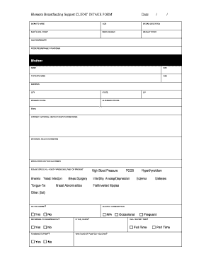 Blossom Breastfeeding Support Client Intake Form