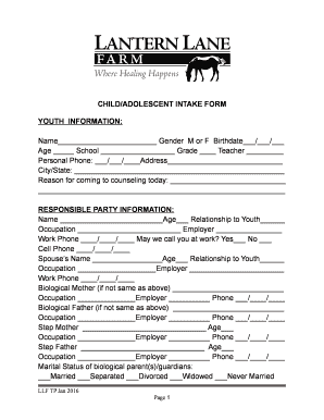Child/Adolescent Intake Form
