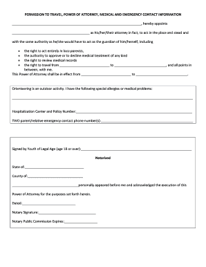 Permission to Travel and Medical Power of Attorney